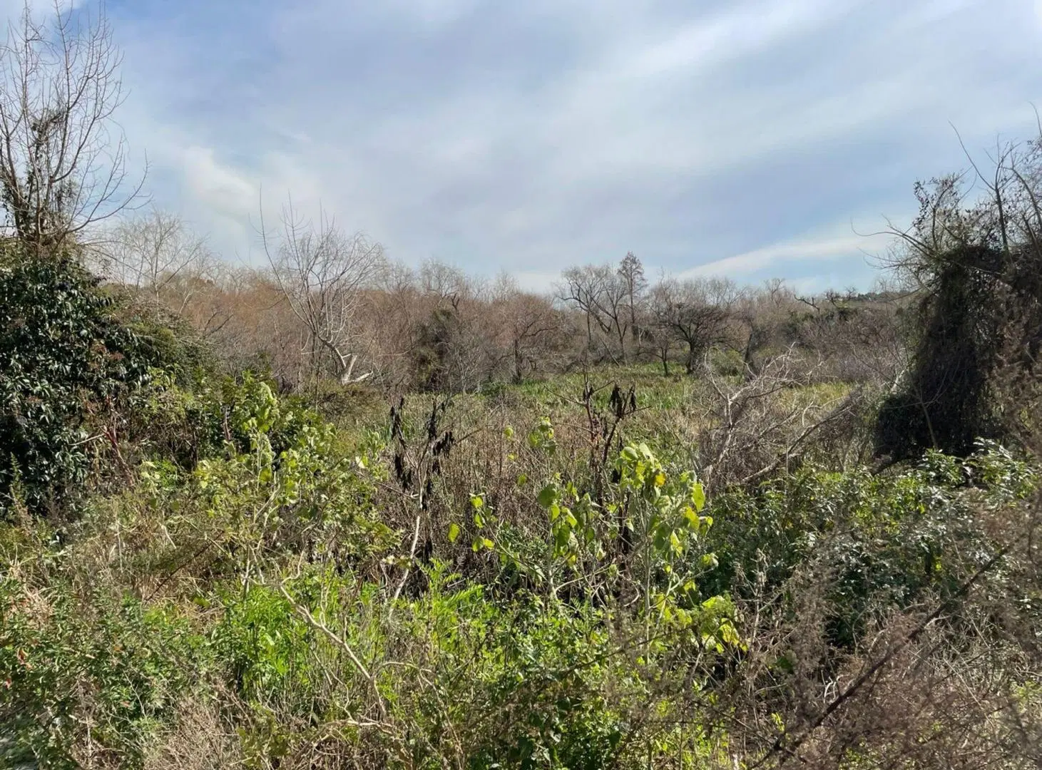 Venta Terreno en la Costa de Villa Domínico 3