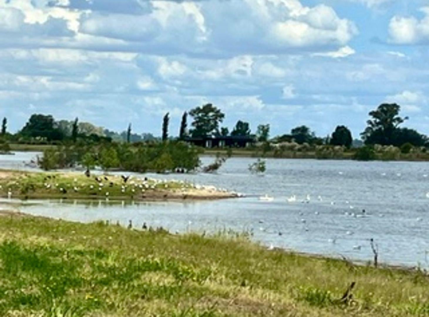 Foto de Lote en venta S.A. Giles frente a Laguna, imagen 5