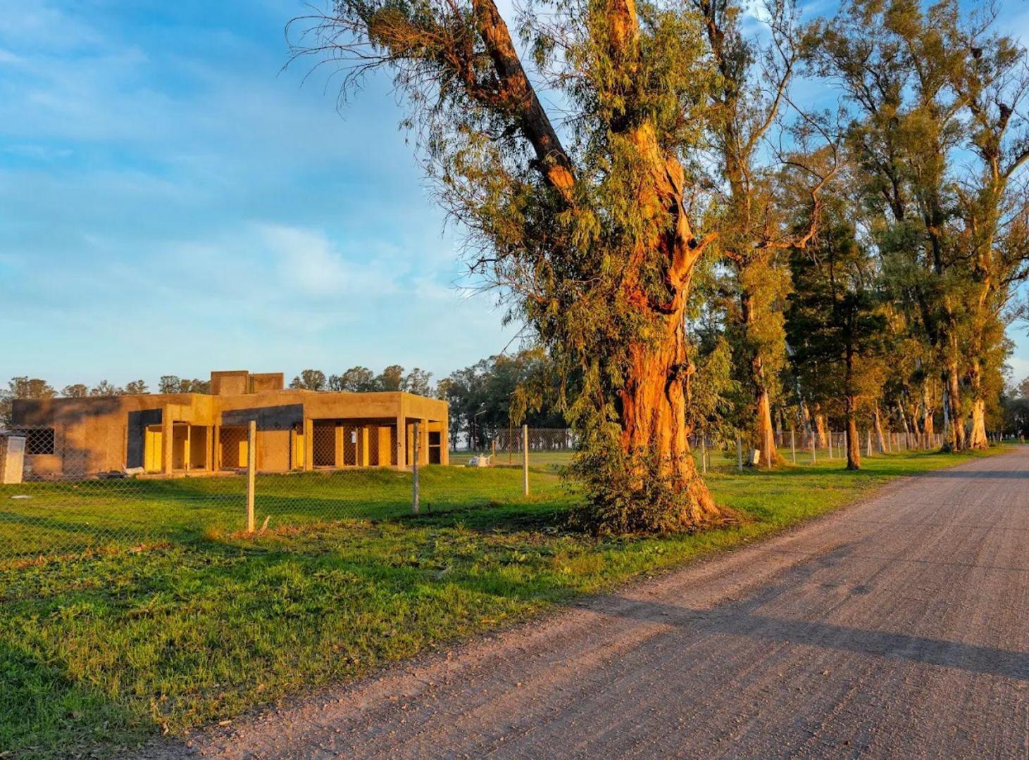 Foto de VENTA LOTE TERRENO GRAL RODRIGUEZ LOS 3 PINOS, imagen 4