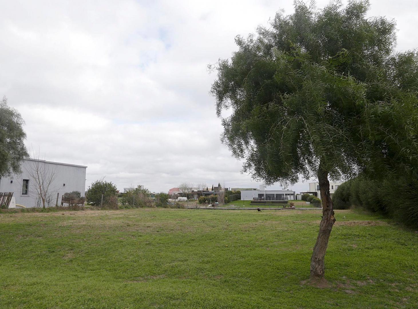 Foto de LOTE A LAGUNA SAN SEBASTIAN AREA 8, imagen 2