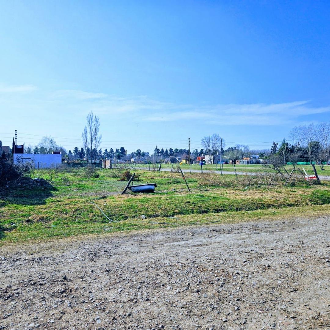 Foto de OTE TERRENO VENTA en Roldán, Bosque Azul, todos los servicios, imagen 5