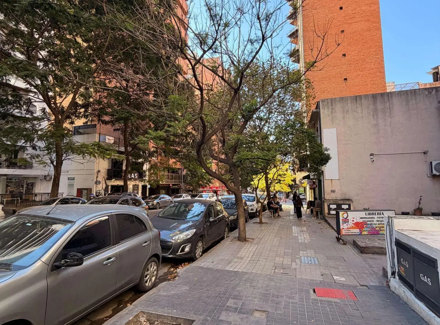 ALQUILER DPTO 1 DORM Y MEDIO - OBISPO SALGUERO 735 1