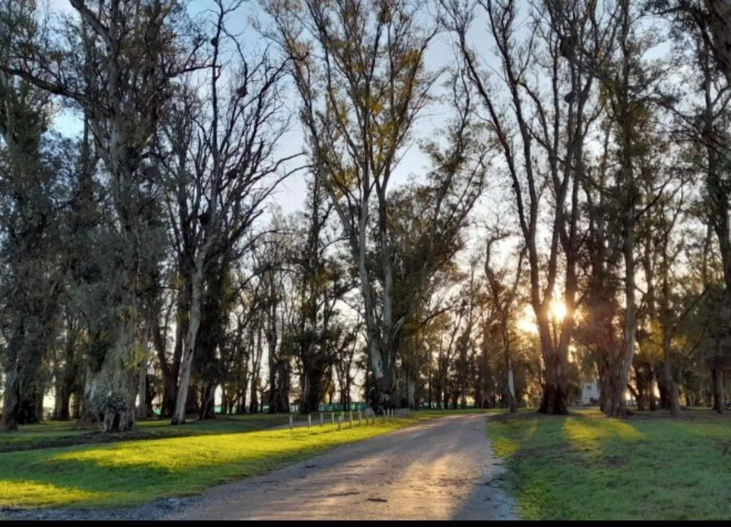 LOTE EN VENTA 2000 M² . 1ª ETAPA DEL BARRIO 4