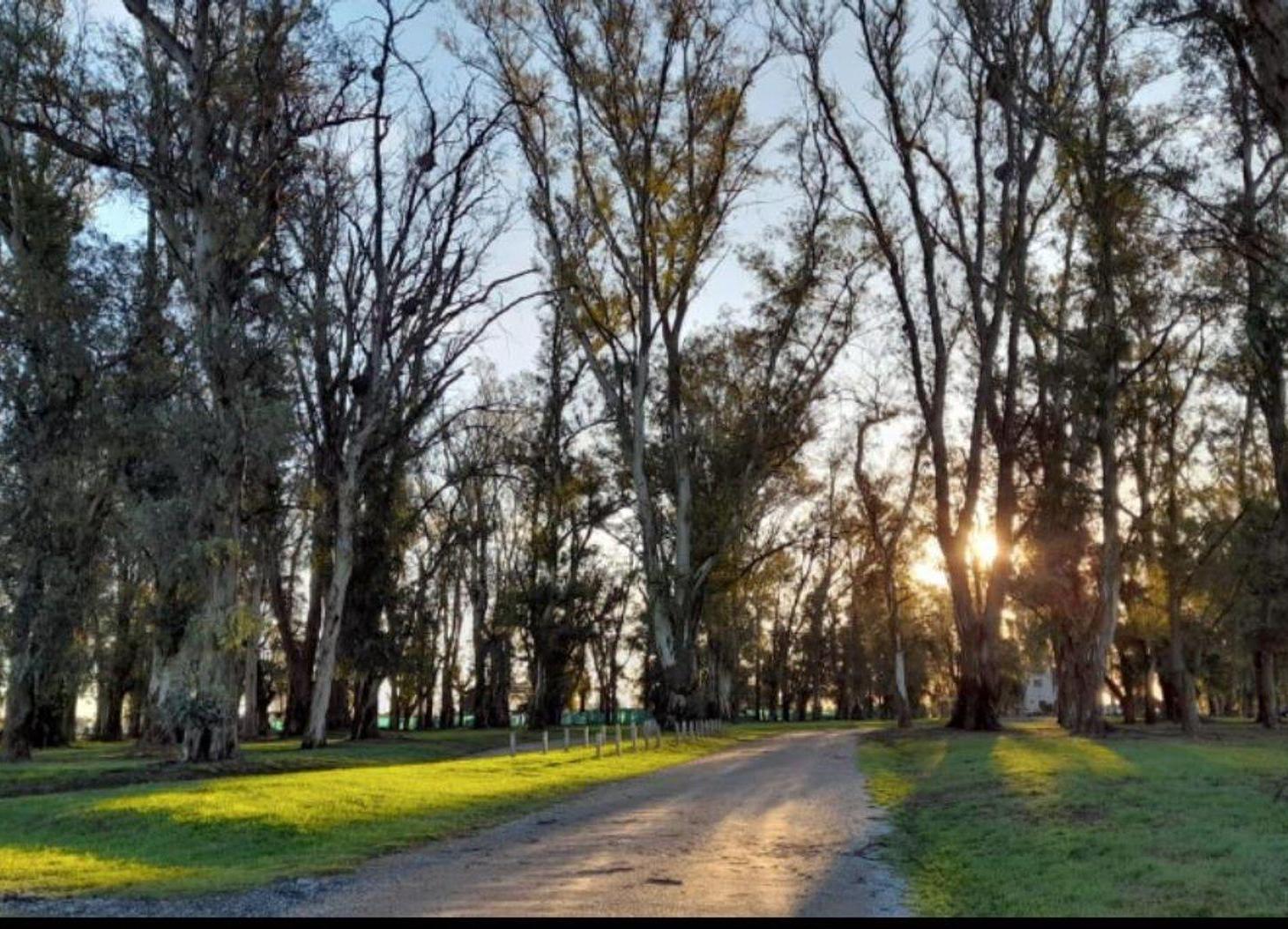 Foto de NUEVO PRECIO!!!!LOTE EN VENTA 2000 M², imagen 5