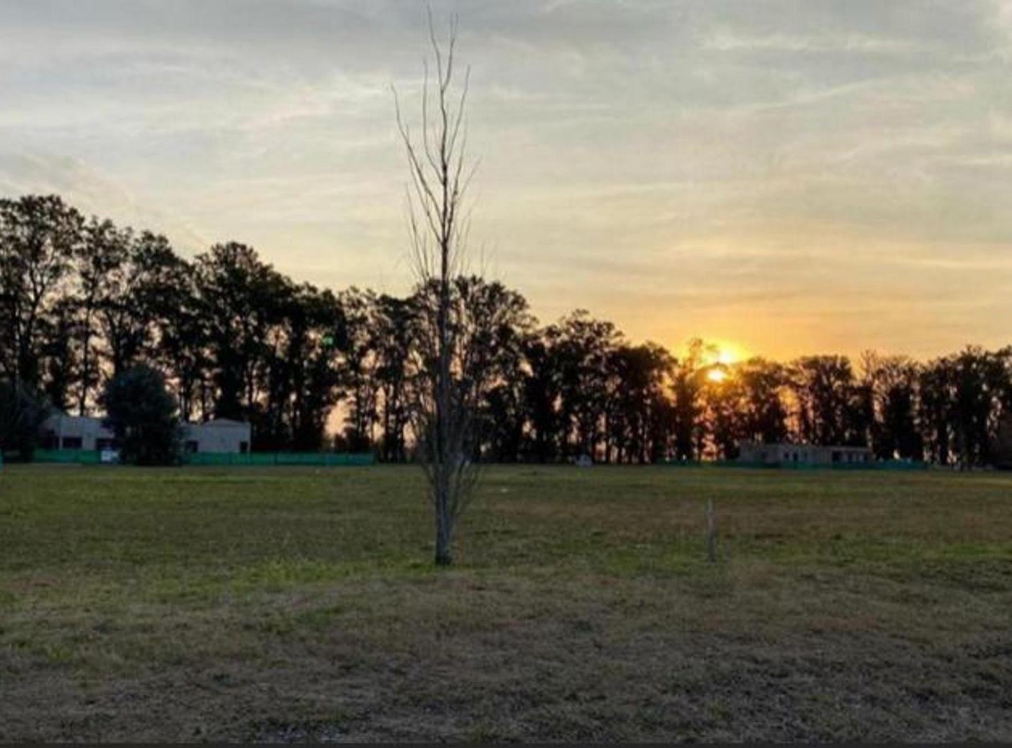 Foto de NUEVO PRECIO!!!!LOTE EN VENTA 2000 M², imagen 3