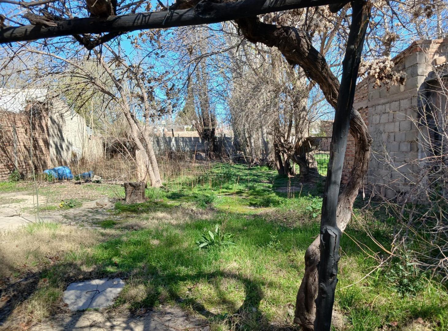 Foto de Casa en Plottier, imagen 1
