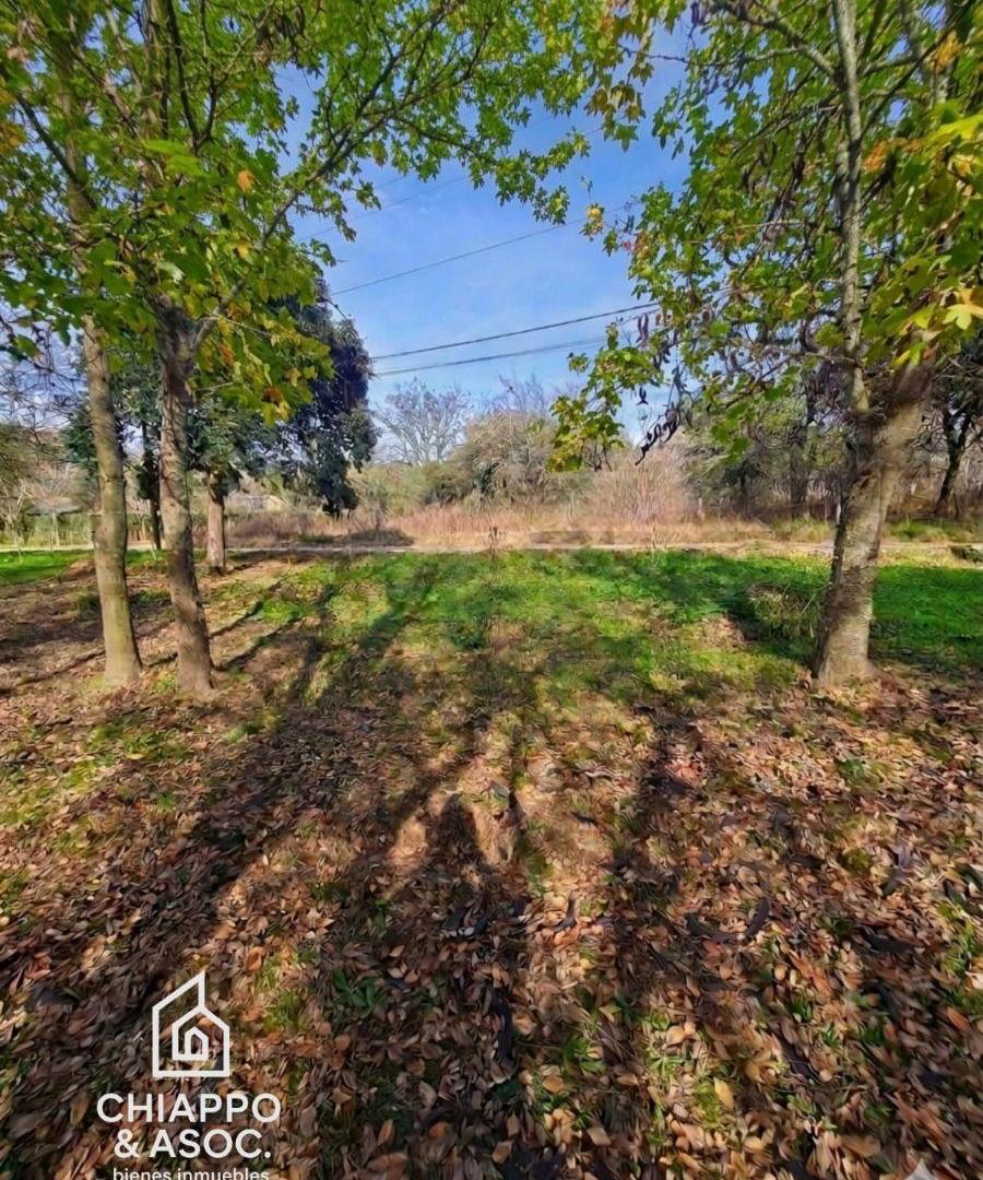 Foto de Terreno en Venta 515 m² | Cuatro Horizontes | Villa General Belgrano |, imagen 3