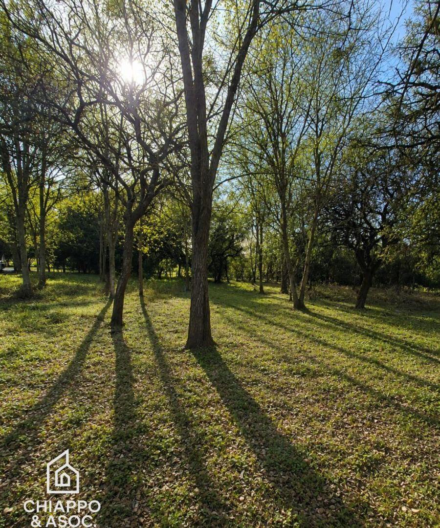 Foto de Terreno en Venta 515 m² | Cuatro Horizontes | Villa General Belgrano |, imagen 2