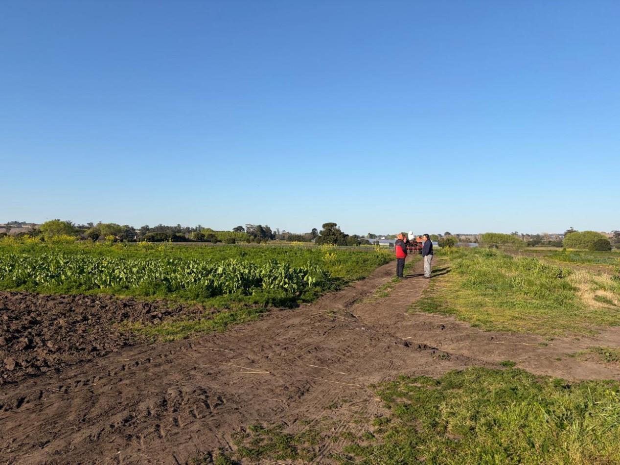 Foto de ¡OPORTUNIDAD DE INVERSION! Excelente Campo de 8 Hectareas en Batan, con, imagen 1