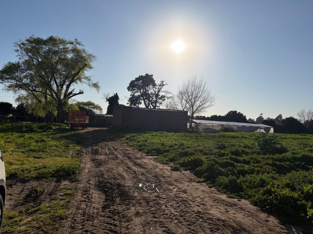 Foto de ¡OPORTUNIDAD DE INVERSION! Excelente Campo de 8 Hectareas en Batan, con, imagen 5