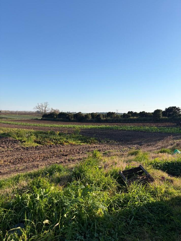 Foto de ¡OPORTUNIDAD DE INVERSION! Excelente Campo de 8 Hectareas en Batan, con, imagen 3