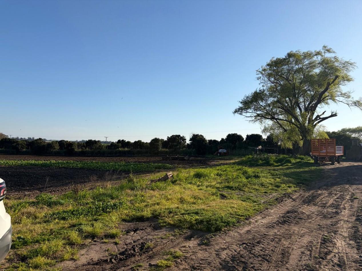 Foto de ¡OPORTUNIDAD DE INVERSION! Excelente Campo de 8 Hectareas en Batan, con, imagen 2