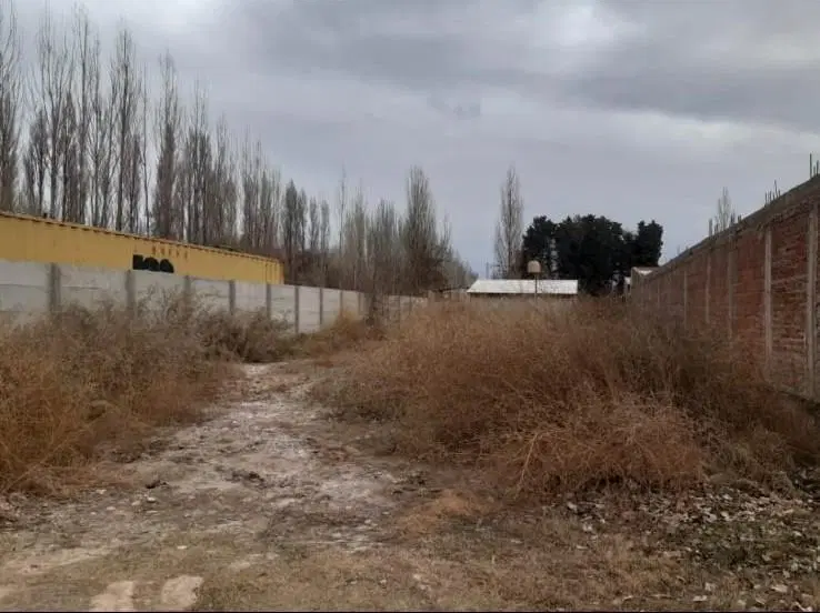 Terreno PLOTTIER 2