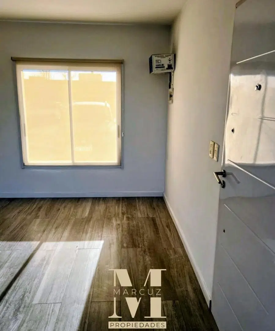 Casuarinas Premium El Lineo 19 5