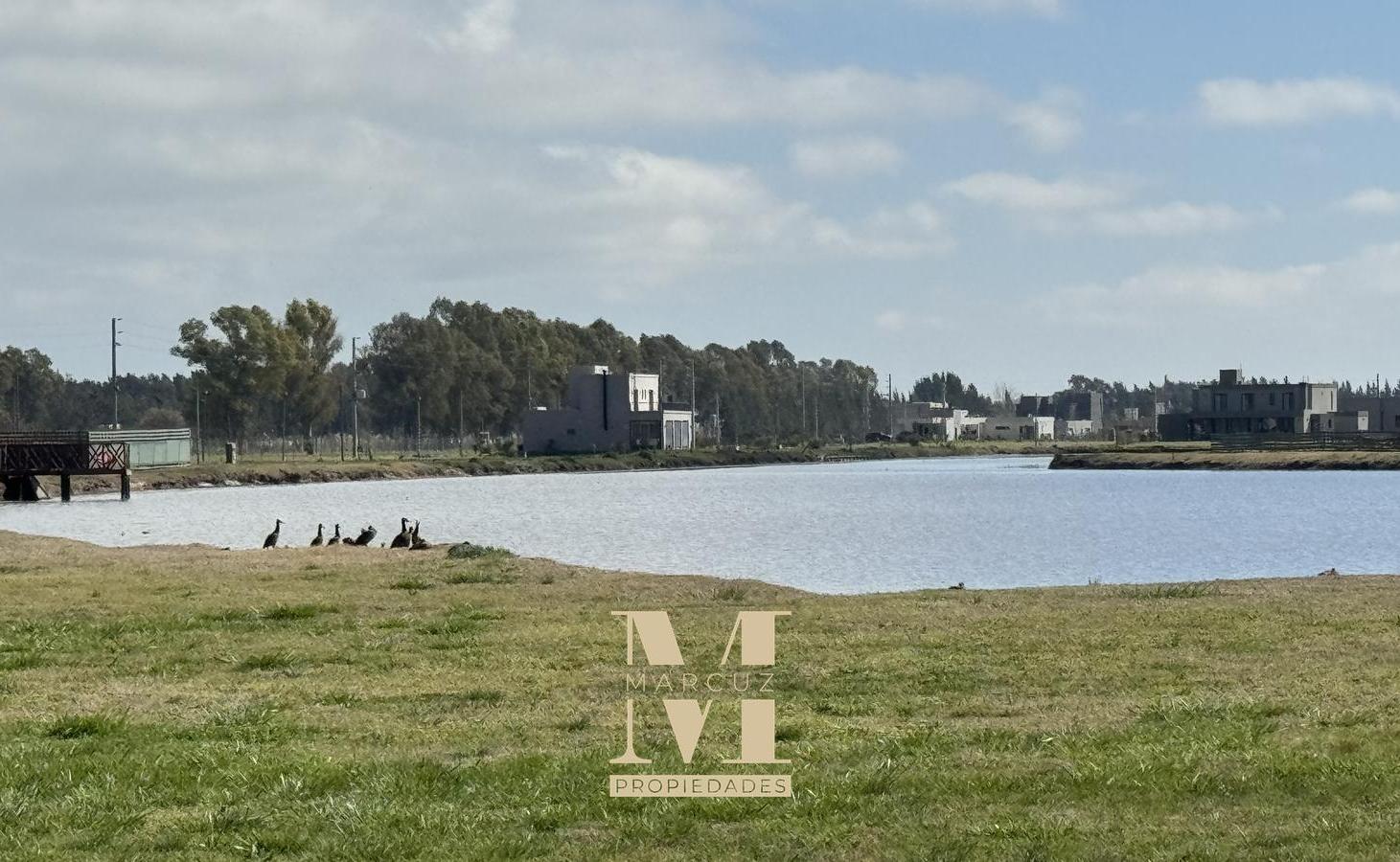 Foto de Terreno Fincas Sporting Laguna, imagen 4