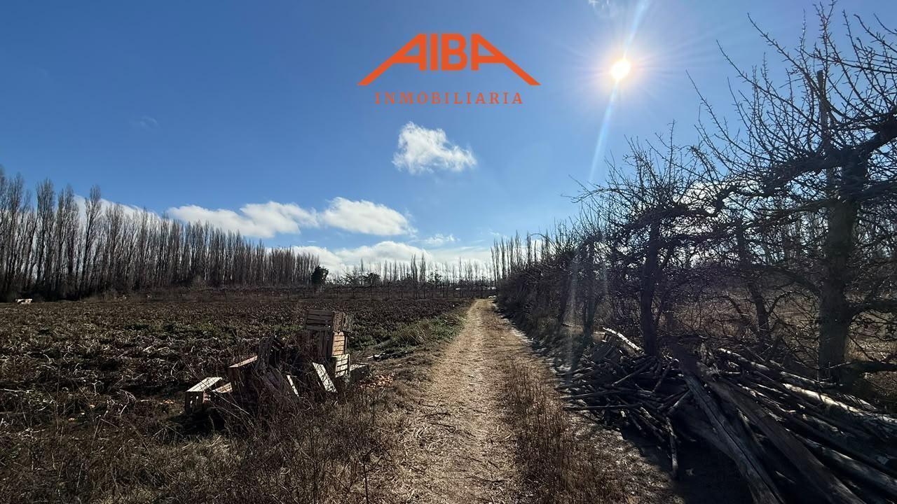 Foto de Chacra de 4 has en Vista Alegre Norte, imagen 2