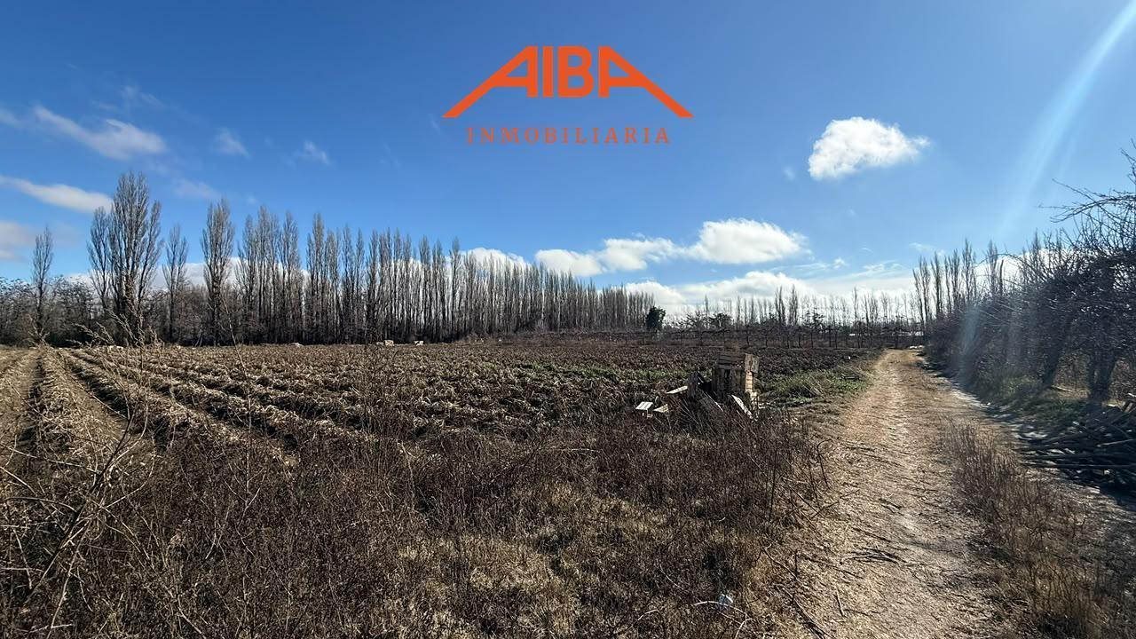 Foto de Chacra de 4 has en Vista Alegre Norte, imagen 1