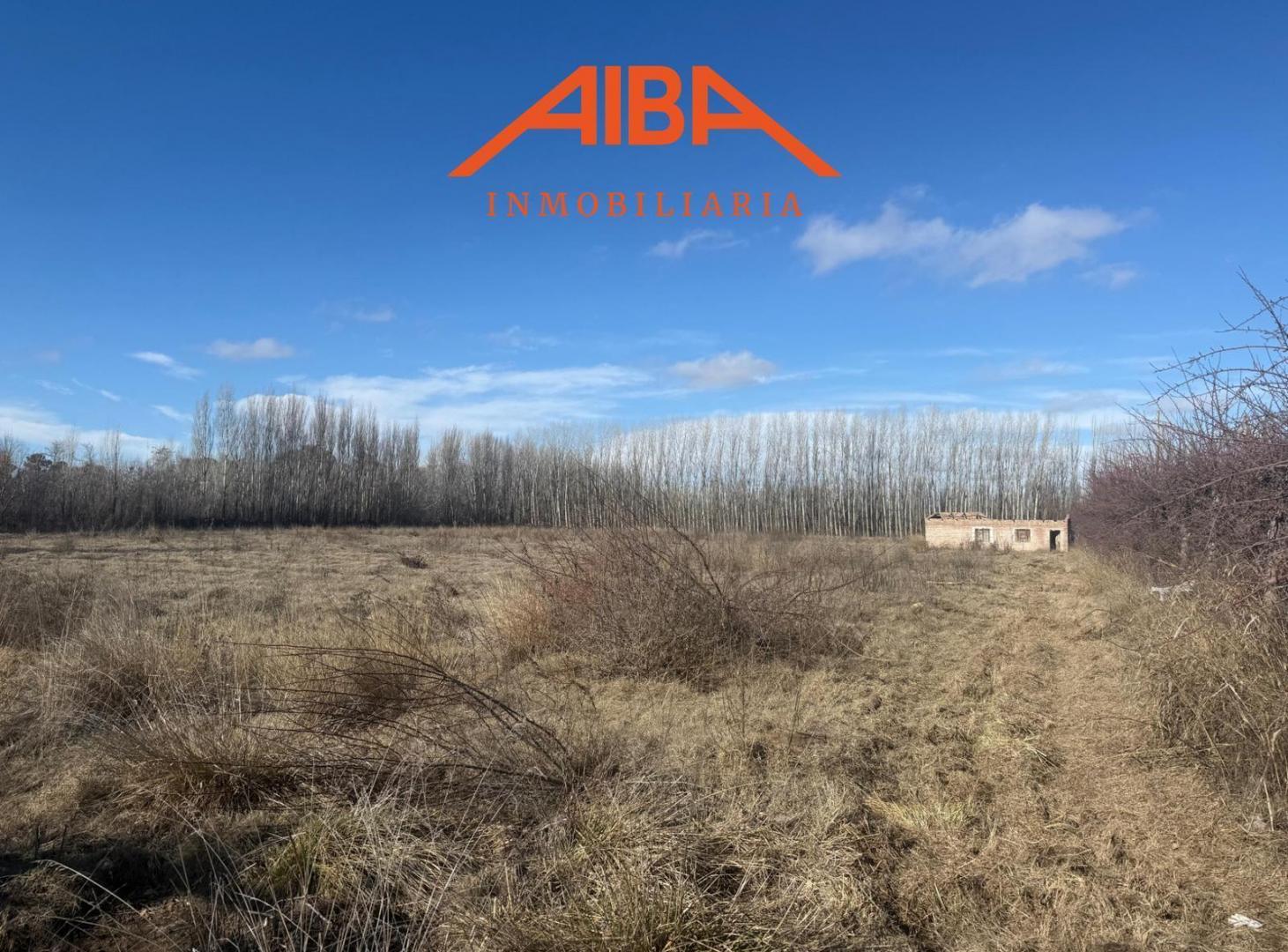 Chacra de 4 has en Vista Alegre Norte