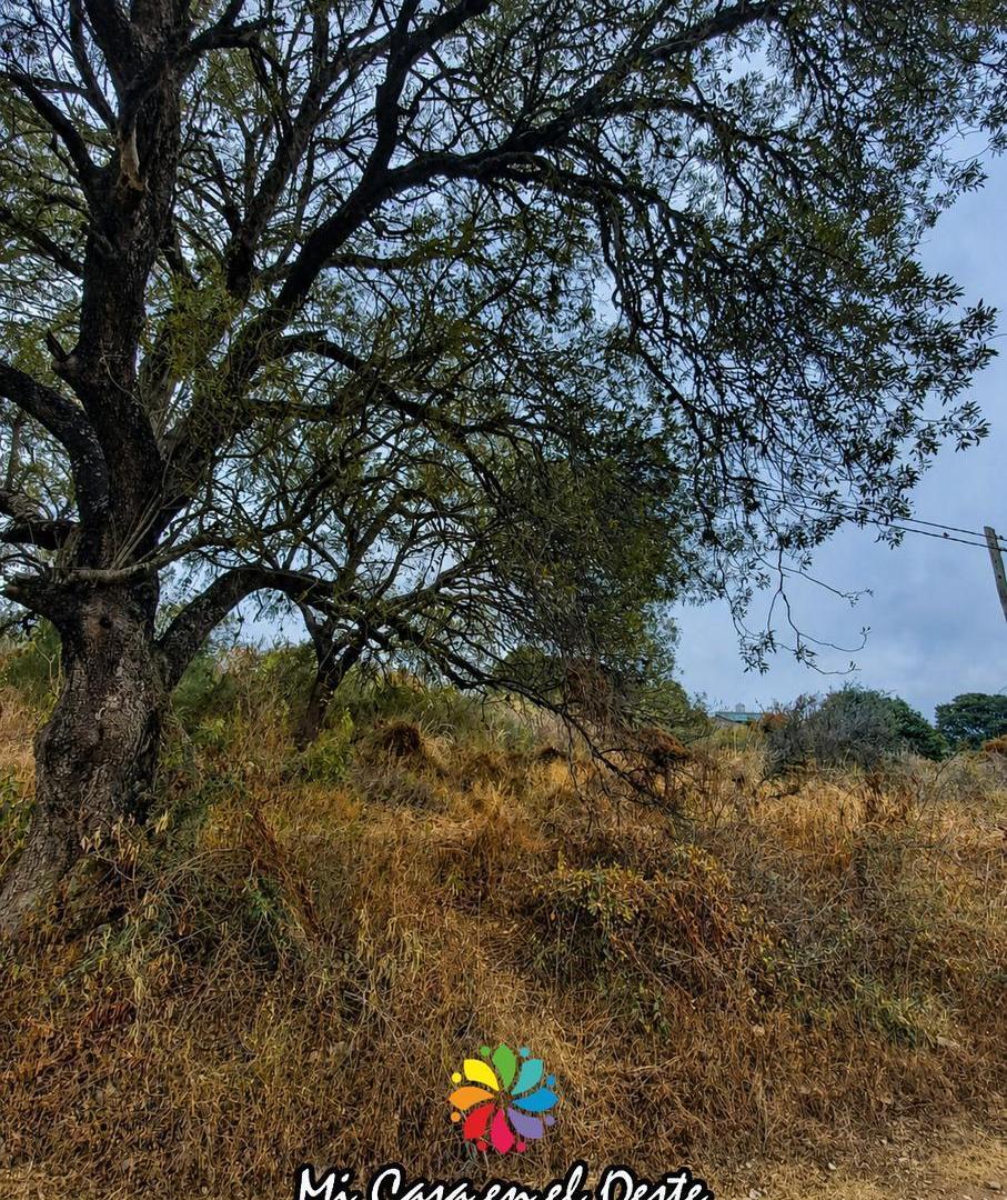 Foto de Lote de Terreno en Venta al pie de las Sierras en Huerta Real - Huerta, imagen 2