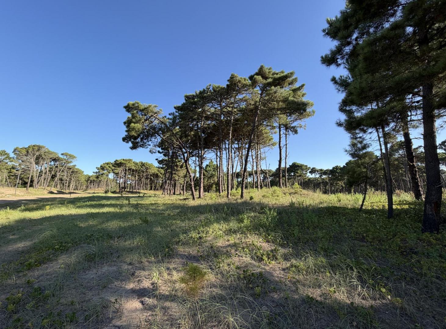 Terreno en Venta en Barrio Bosques Pinamar