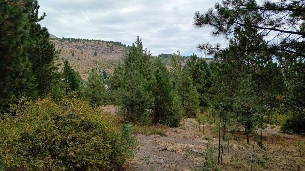 Venta hec tareas apto desarrolo en san Martin De Los andes sobre la 40