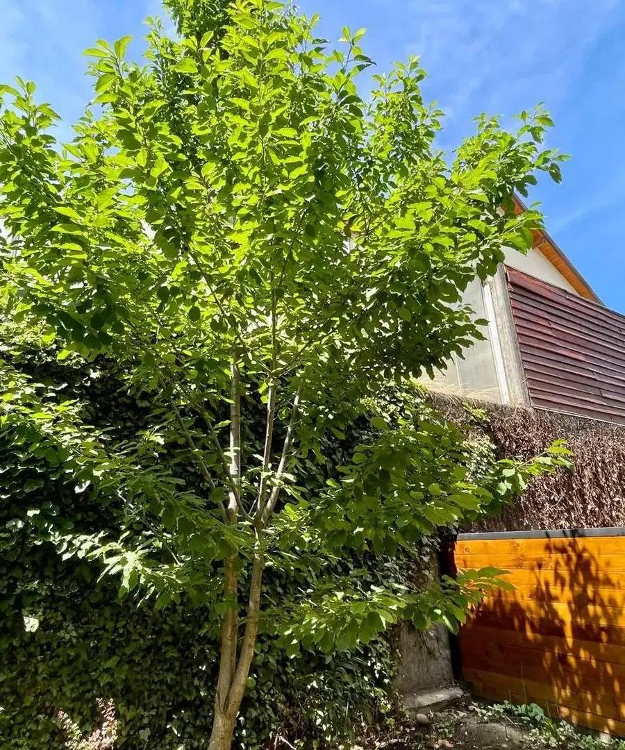 Departamento 2 amb en venta con patio en pb en San Martín de los Andes!! 8