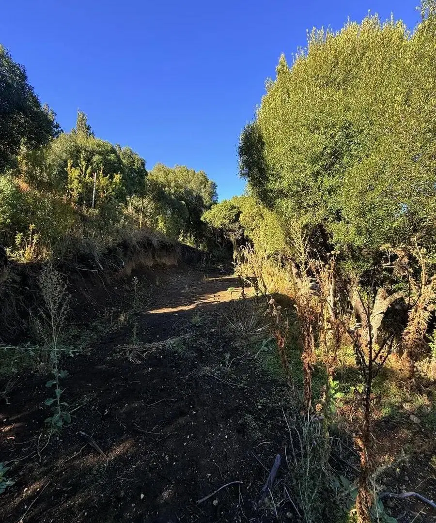 Lote/terreno en venta en Ruca Hue san Martín de los Andes!! 5