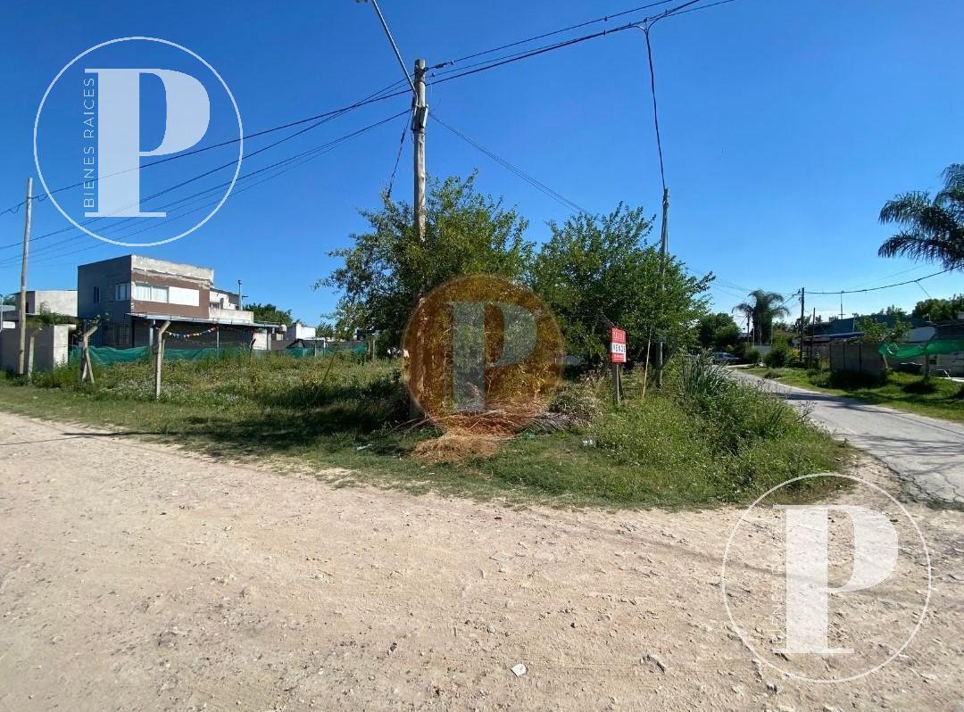 Foto de | VENTA | LOTE EN ESQUINA CALLE 2 Y 497, VILLA CASTELS., imagen 2