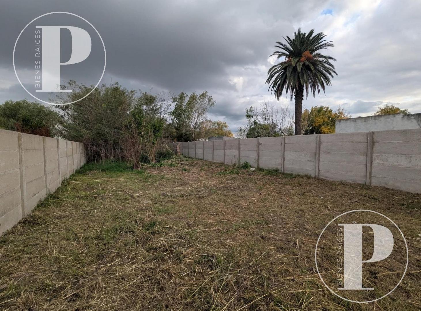 Foto de Terreno en venta Saladillo, imagen 5