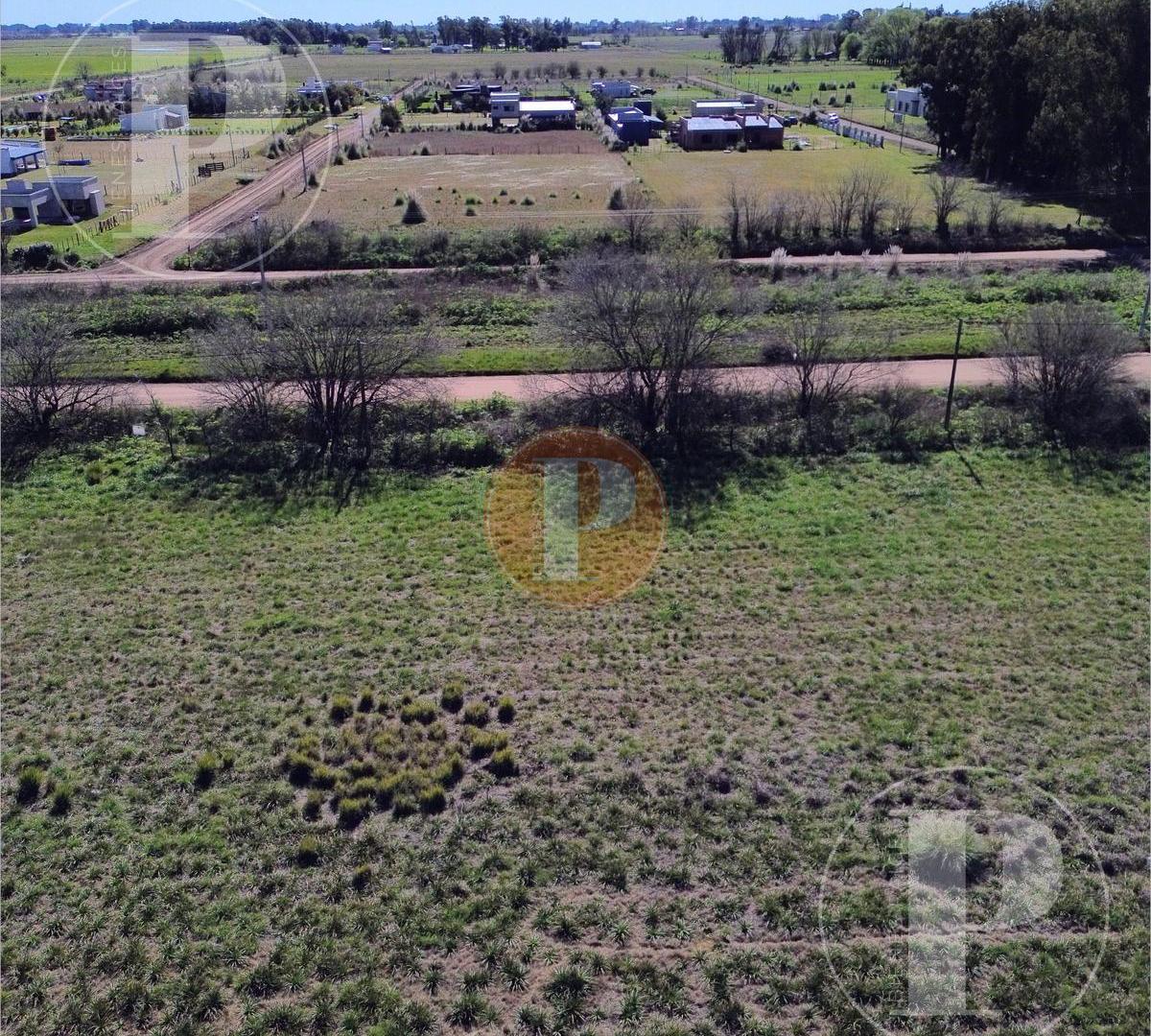 Foto de Terreno en Saladillo, imagen 3