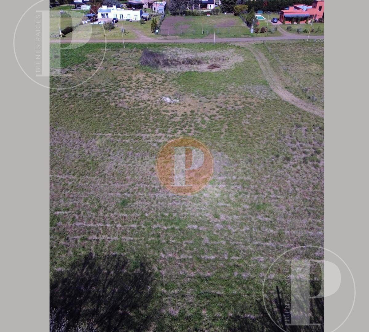 Foto de Terreno en Saladillo, imagen 5