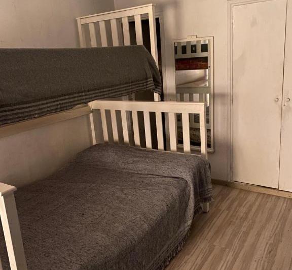 departamento pleno peatonal centro vcp 2