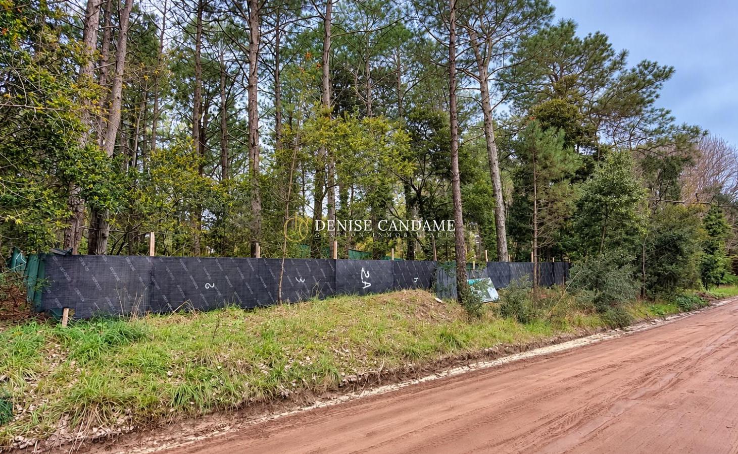 Foto de Lote En Venta En Cariló, imagen 5