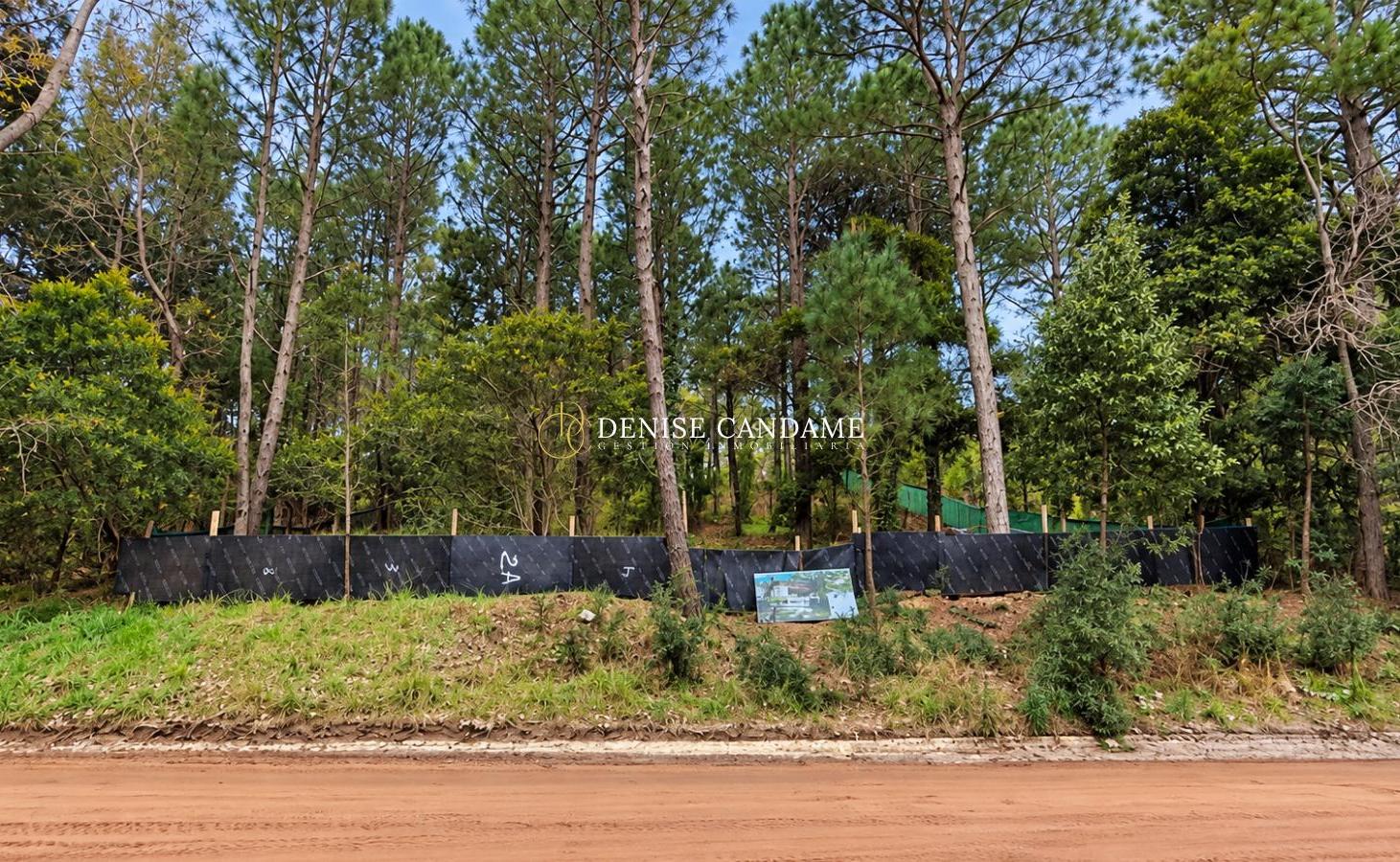 Foto de Lote En Venta En Cariló, imagen 4