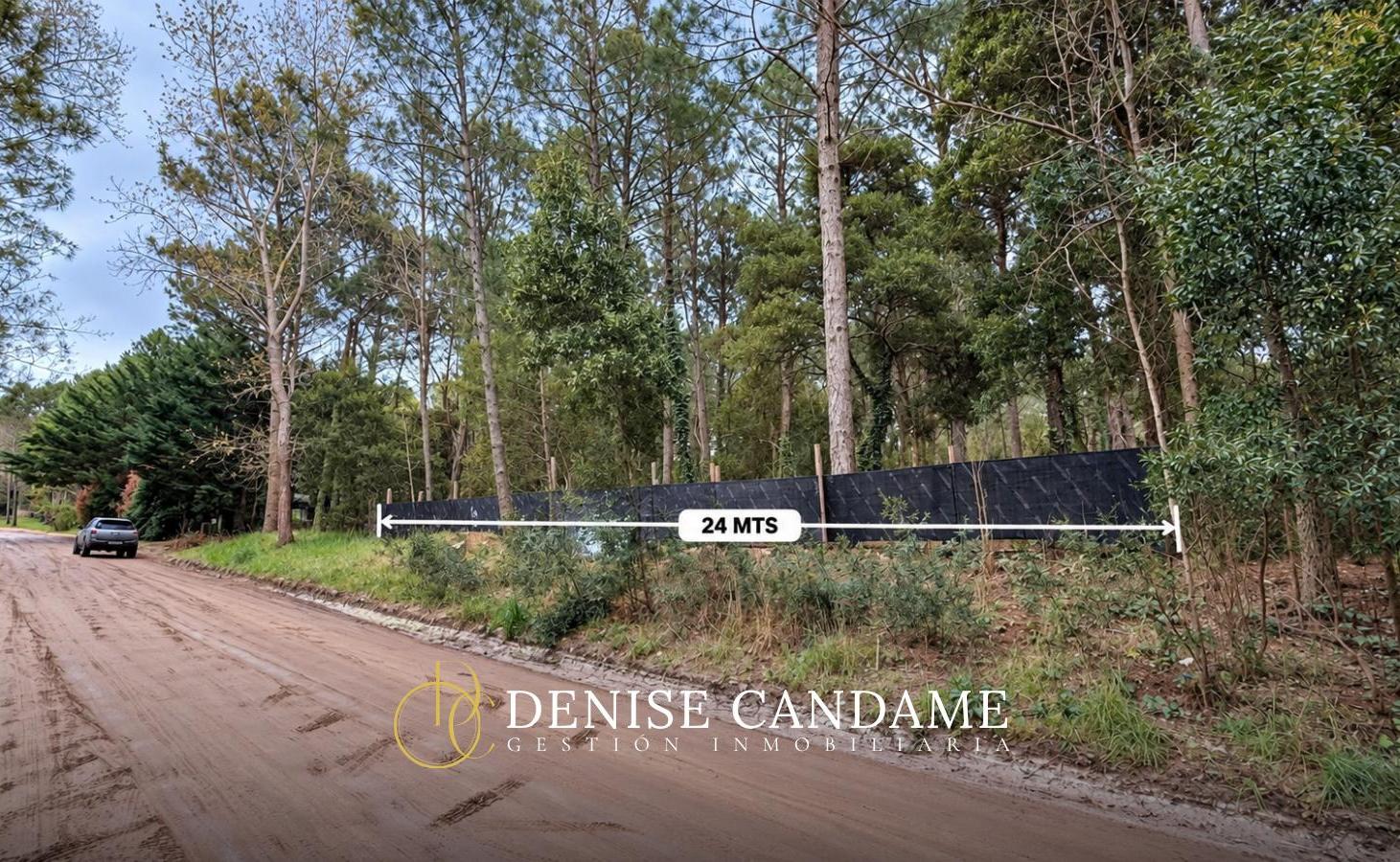 Foto de Lote En Venta En Cariló, imagen 3