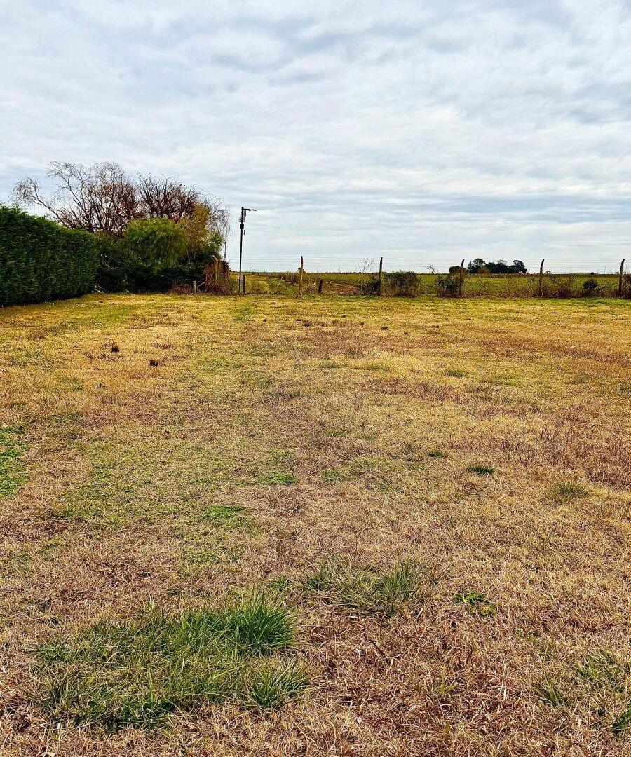 Foto de LOTE EN VENTA EN CHACRAS DE PERGAMINO, imagen 3
