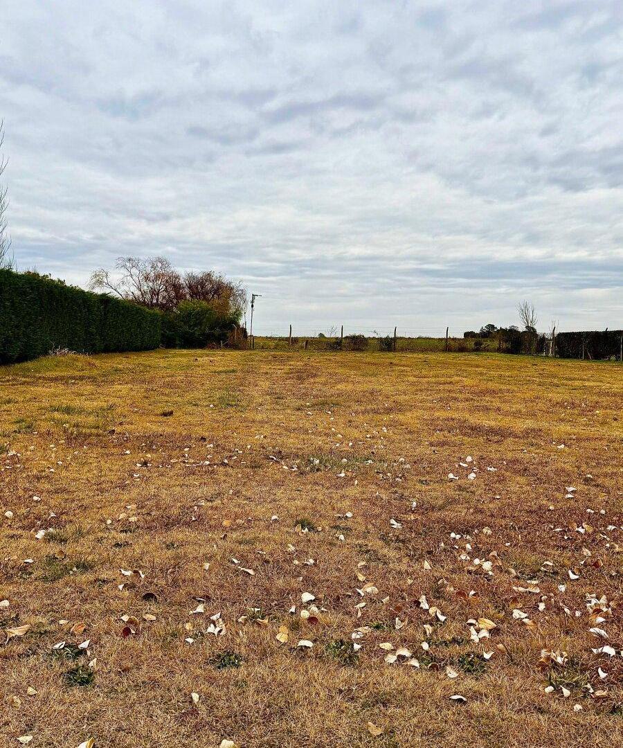 Foto de LOTE EN VENTA EN CHACRAS DE PERGAMINO, imagen 4