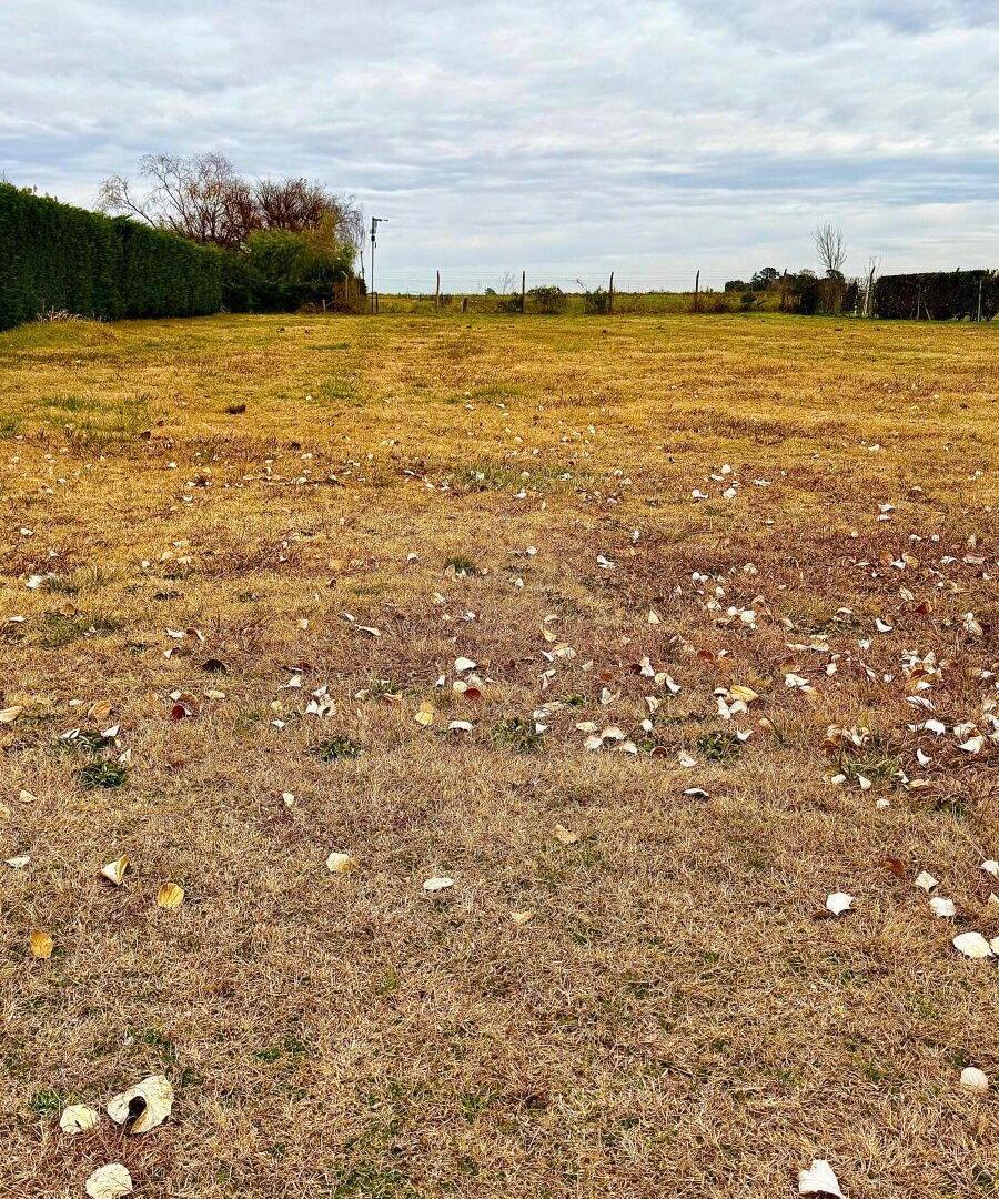 Foto de LOTE EN VENTA EN CHACRAS DE PERGAMINO, imagen 5