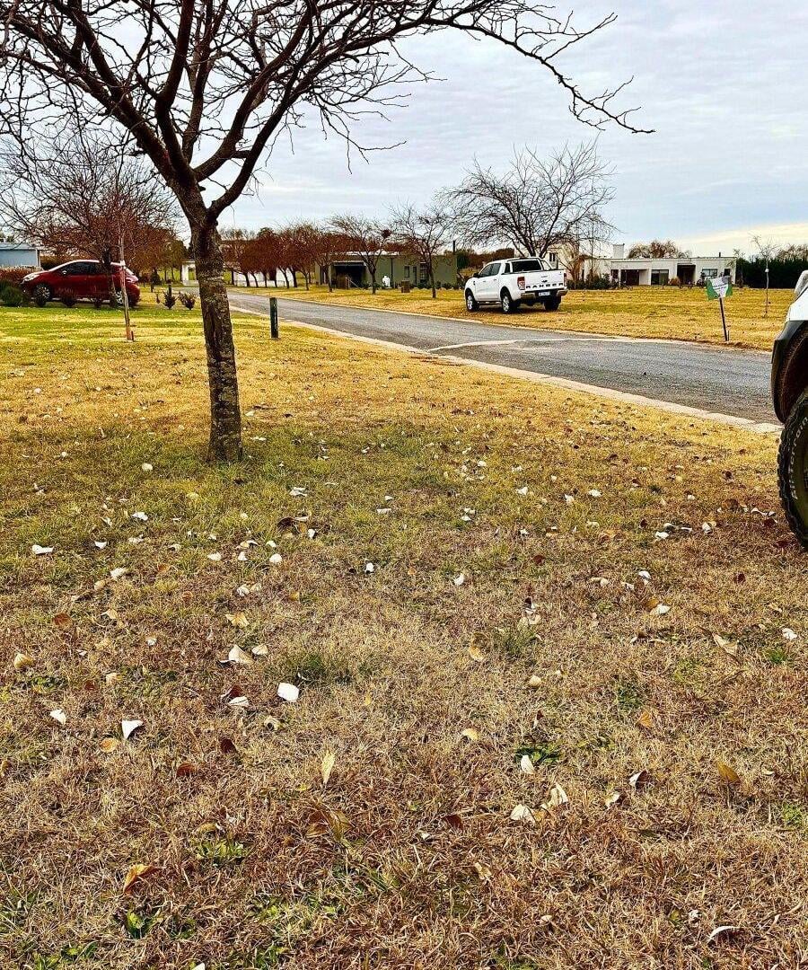 Foto de LOTE EN VENTA EN CHACRAS DE PERGAMINO, imagen 2