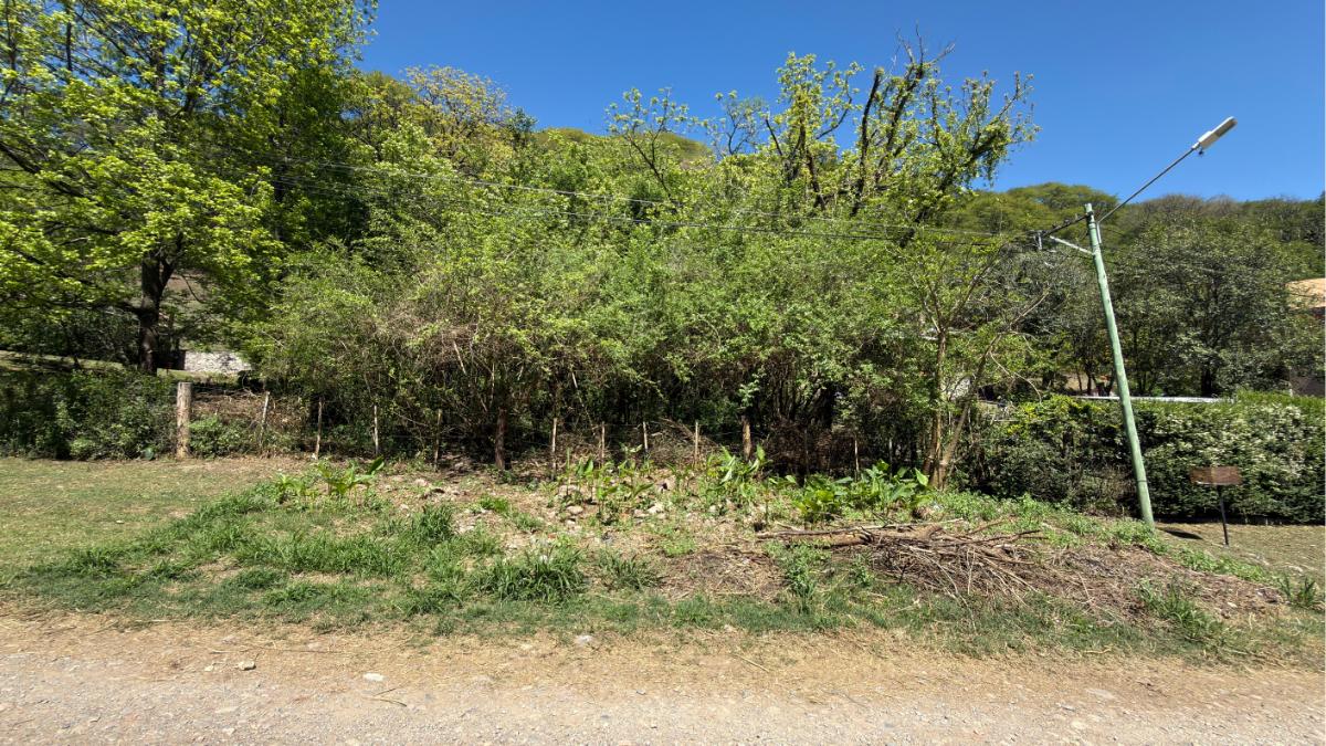 Foto de Terreno de 1.000 m² en San Pablo de Reyes – Próximo al Colegio de, imagen 1