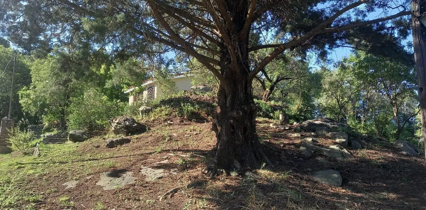 Casa en Cuesta Blanca 2