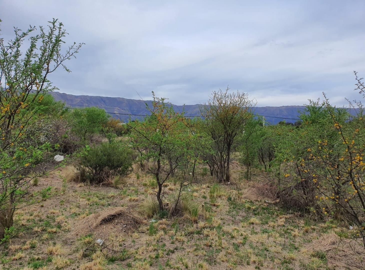 Foto de VENTA TERRENO COMERCIAL INGRESO RUTA 5, MERLO SAN LUIS, imagen 4
