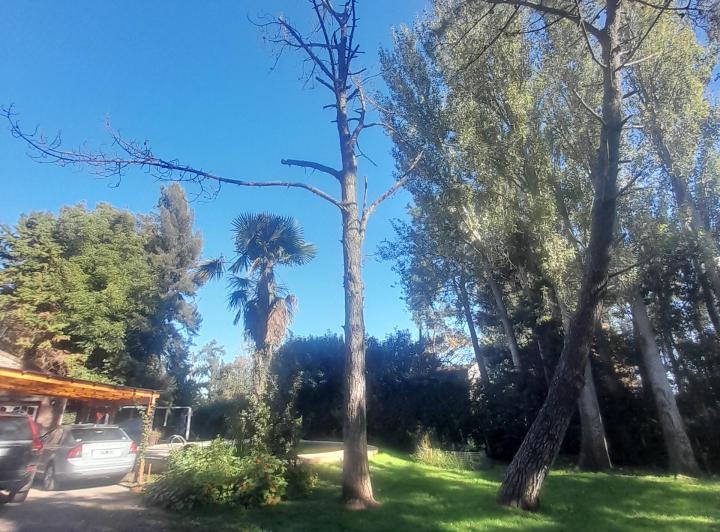 Casa quinta 1
