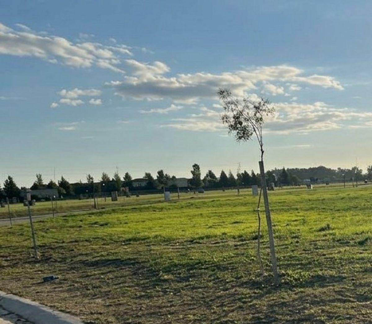 Foto de LOTE INTERNO SAN ROQUE CANNING, imagen 1