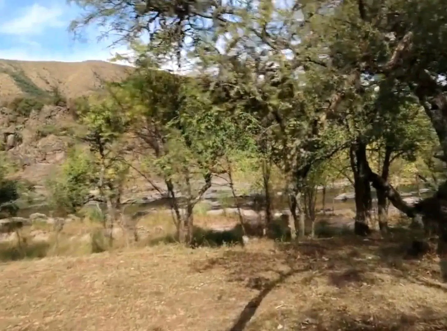 VENTA LOTE A 200m DEL RÍO SAN ANTONIO 8
