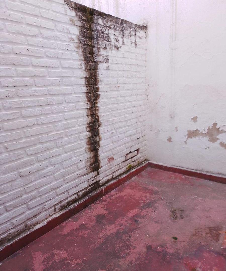 Foto de Alquilo Mono Centro ¡Expensas Bajas! Cocina Separada- Patio, imagen 3