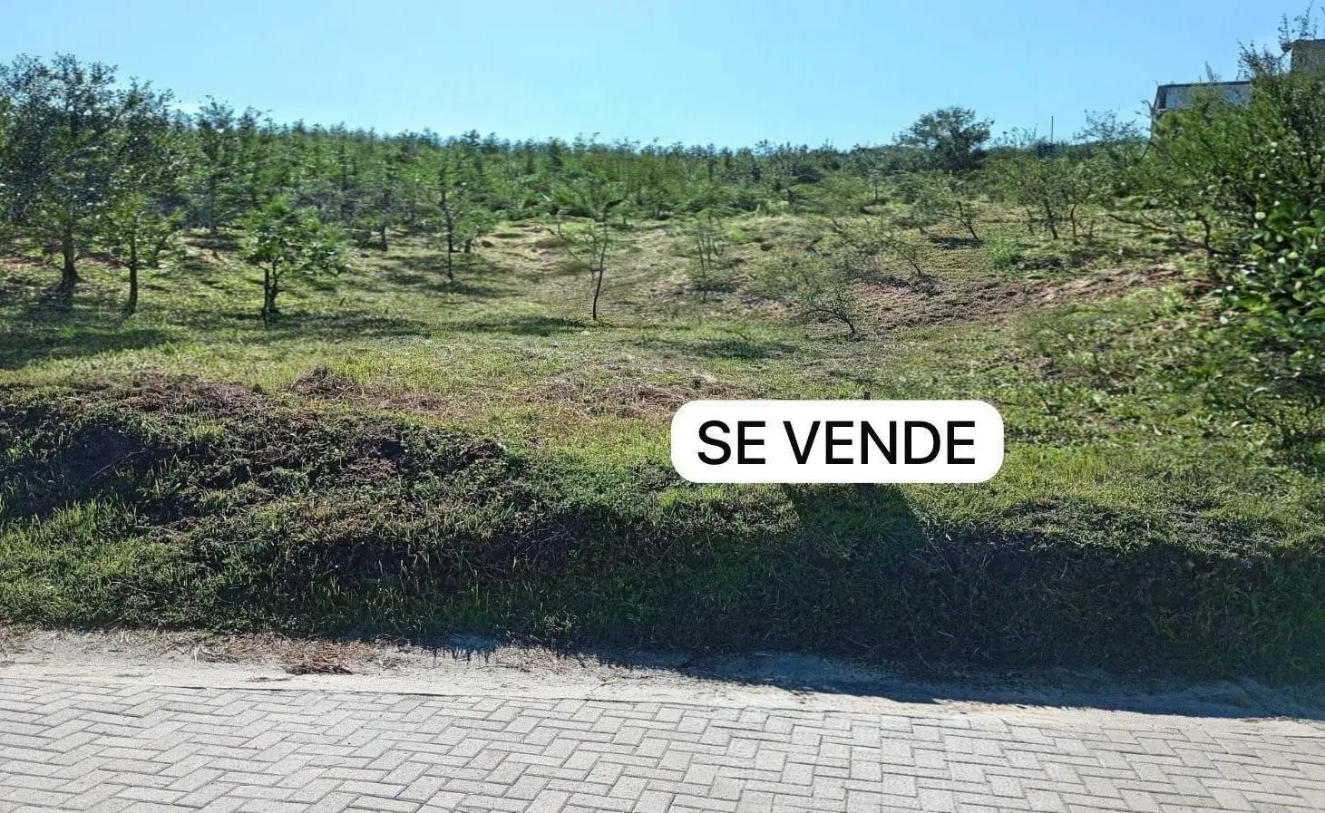 Terreno - Villa Los Aromos 1