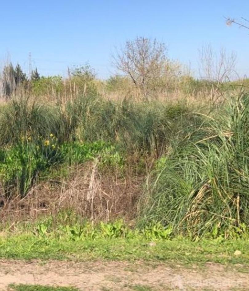 Foto de Lote En Nordelta, Villanueva Dueño Directo, Tigre, Excelente ubicación, imagen 2