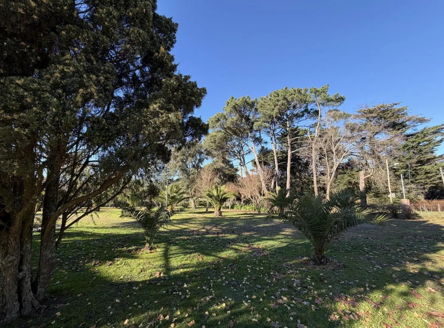 CASA QUINTA DE CATEGORÍA EN LA PEREGRINA | PILETA, NATURALEZA Y CONFORT 5