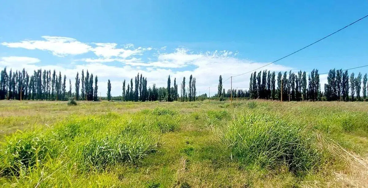 Terreno en La Rufina II 2